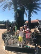 Busch Gardens: como aproveitar 1 dia de parque em Tampa