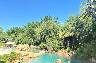 Discovery Cove: nado com golfinhos em Orlando