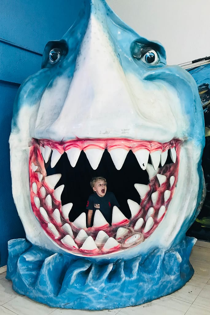 Aquário-de-São-Paulo