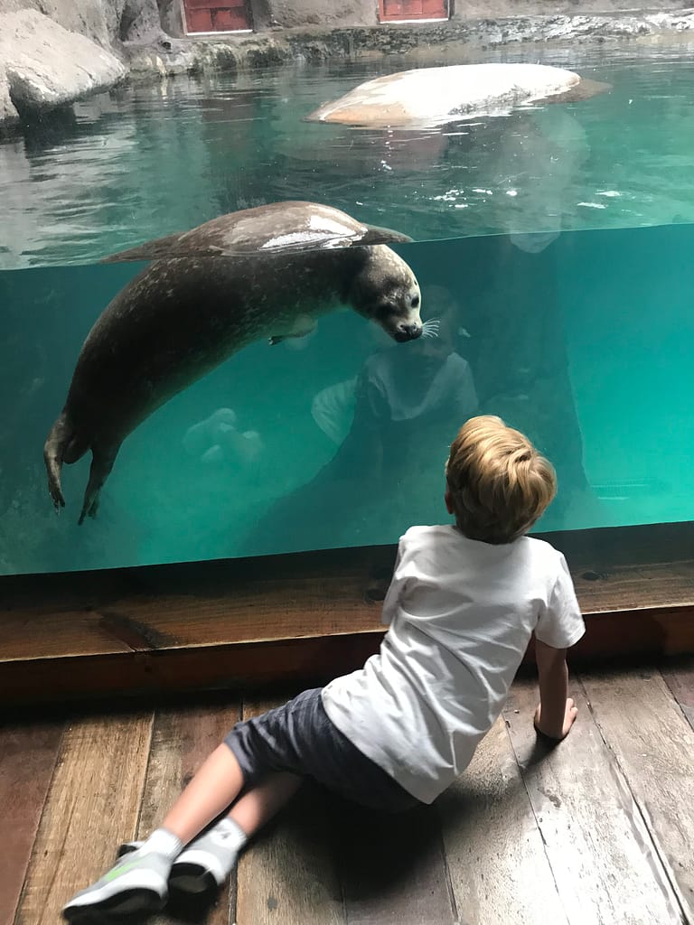 Aquário-de-São-Paulo